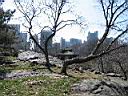 128 Central_Park.jpg